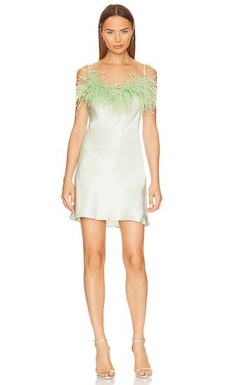 Boheme Mini Dress with Feathers | Mint Dress | Feather Dress | Graduation Outfit Graduation Pictures | Revolve Clothing (Global)
