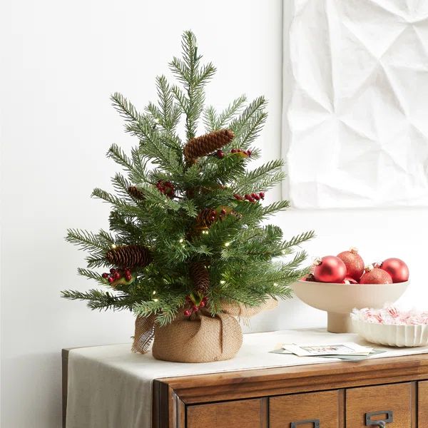 Belson 2' Lighted Artificial Spruce Christmas Tree | Wayfair North America