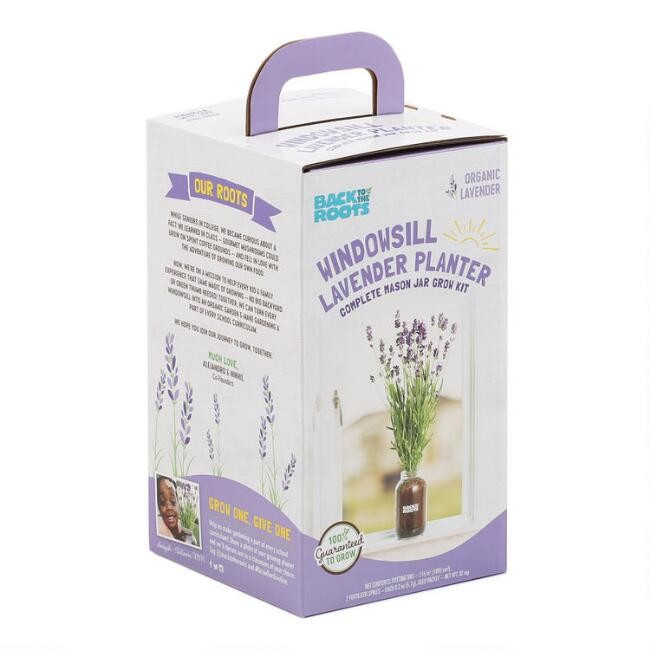 Back to the Roots Organic Lavender Windowsill Grow Kit | World Market