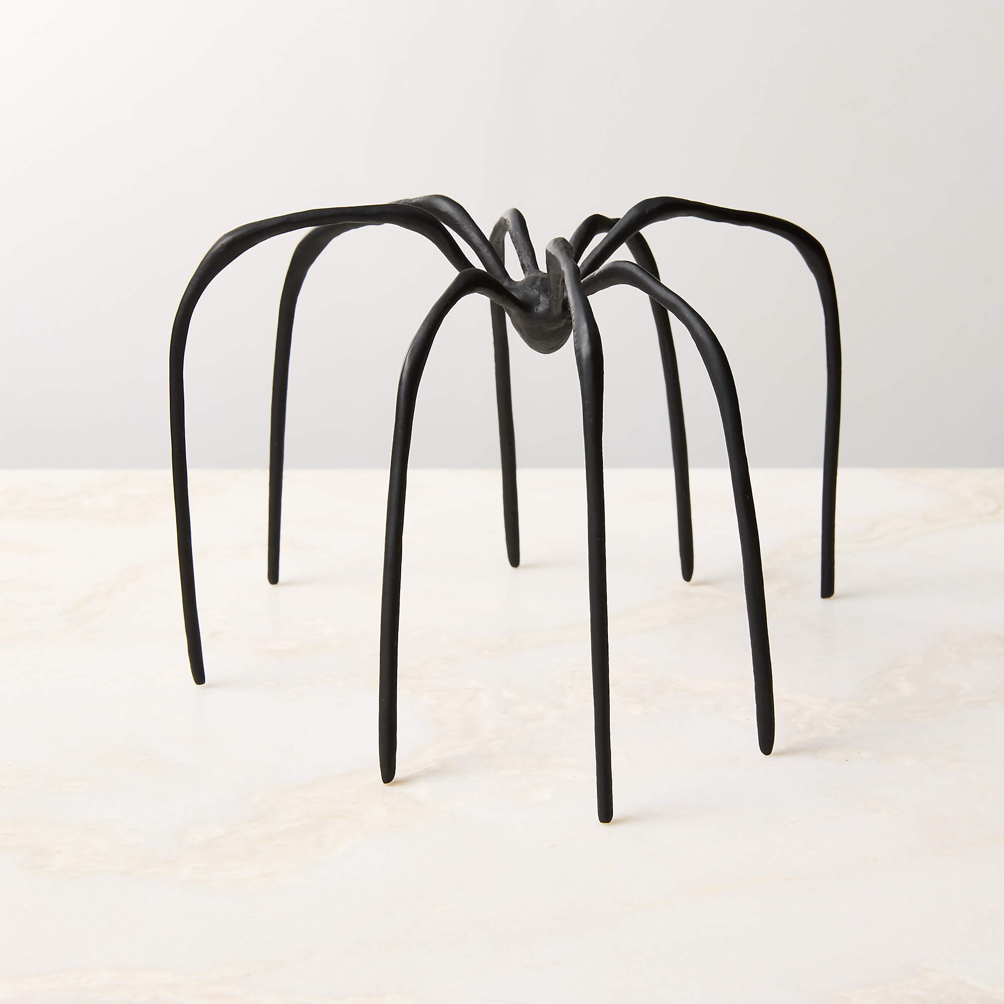 Huntsman Black Cast Aluminum Decorative Spider 5" + Reviews | CB2 | CB2