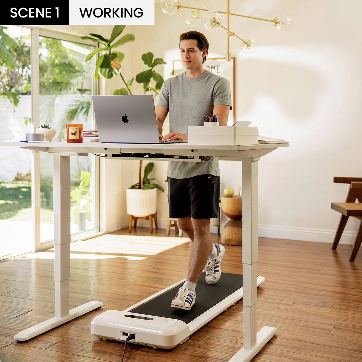 WalkingPad C2 Folding Walking Treadmill, So You Can Walk And Work | WalkingPad