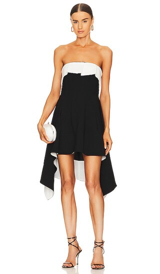 Lennox Mini Dress in Black & White | Revolve Clothing (Global)