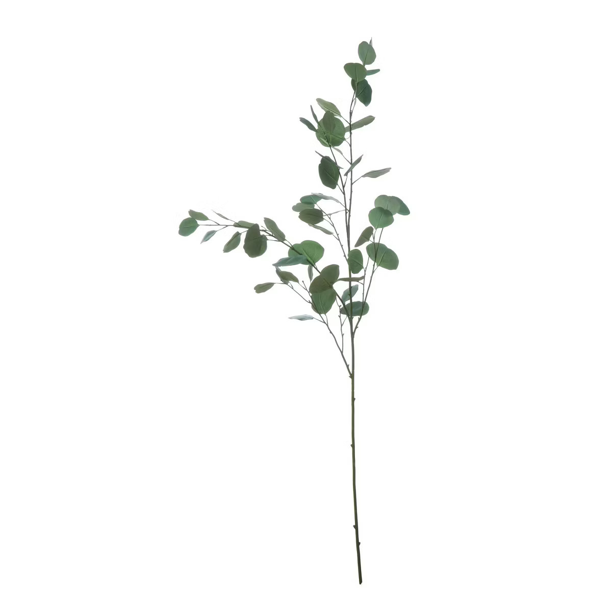 54" x 2" Artificial Faux Eucalyptus Branch - Storied Home | Target