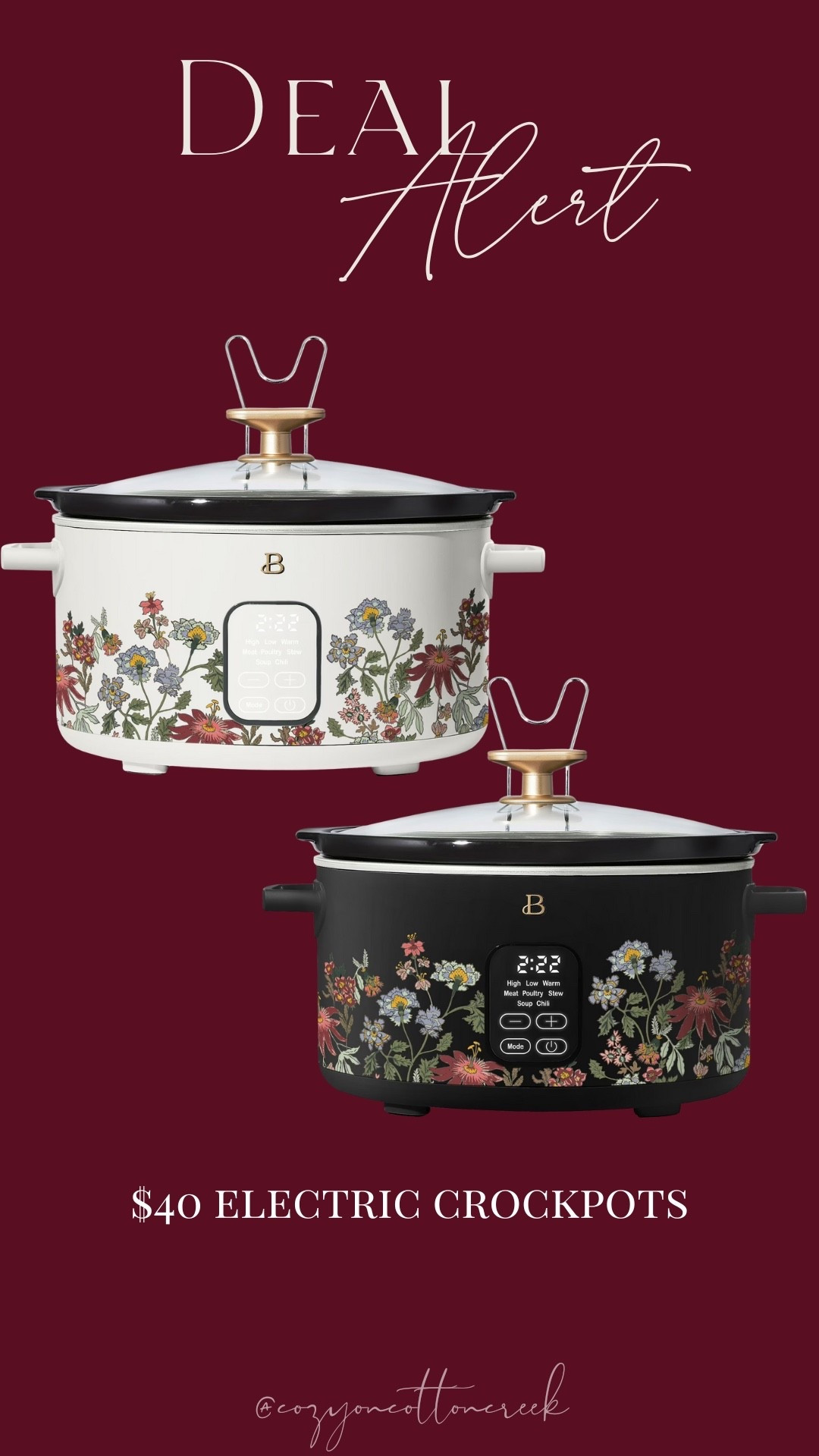 Crockpot
The prettiest electric floral beautiful crockpot 

#LTKGiftGuide #LTKHome #LTKfoodie