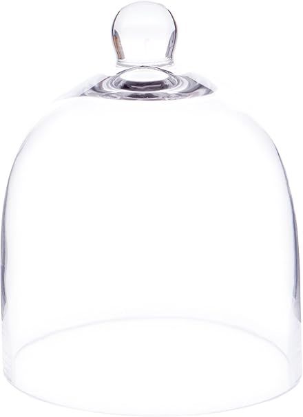 Plymor 6" x 7" Bell Jar Glass Display Dome Cloche (Small - Interior size 5.75 inch x 5.75 inch) | Amazon (US)