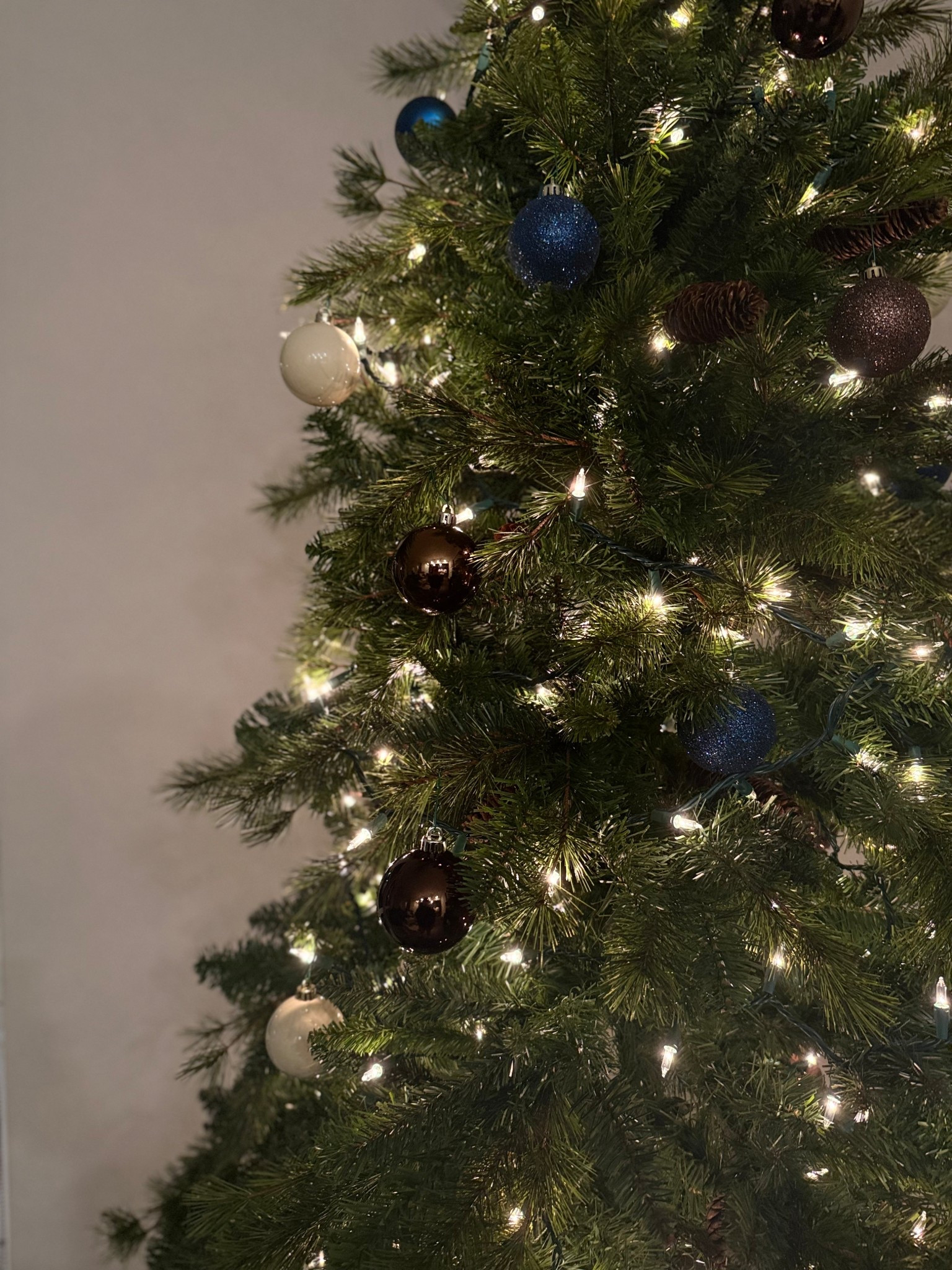 Christmas vibes 

#LTKHoliday #LTKSeasonal
