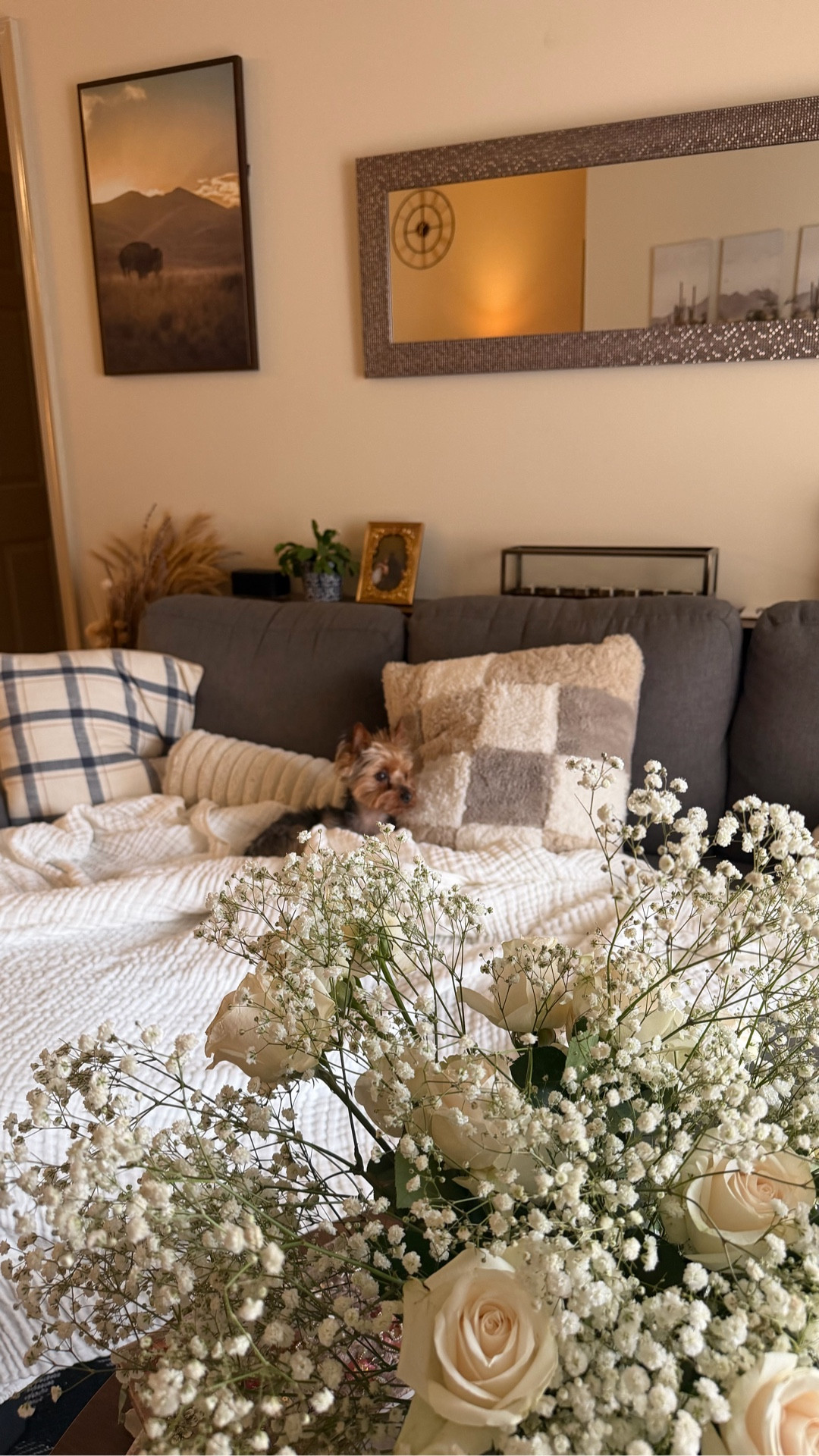 Slow Sunday mornings with the coziest blanket from the Fleece Company 🤍☁️ it’s obviously even pup approved 🐶

#LTKgrwm #LTKHome #LTKselfcare