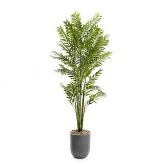 Deluxe Bamboo Tree in Resin Planter | Frontgate