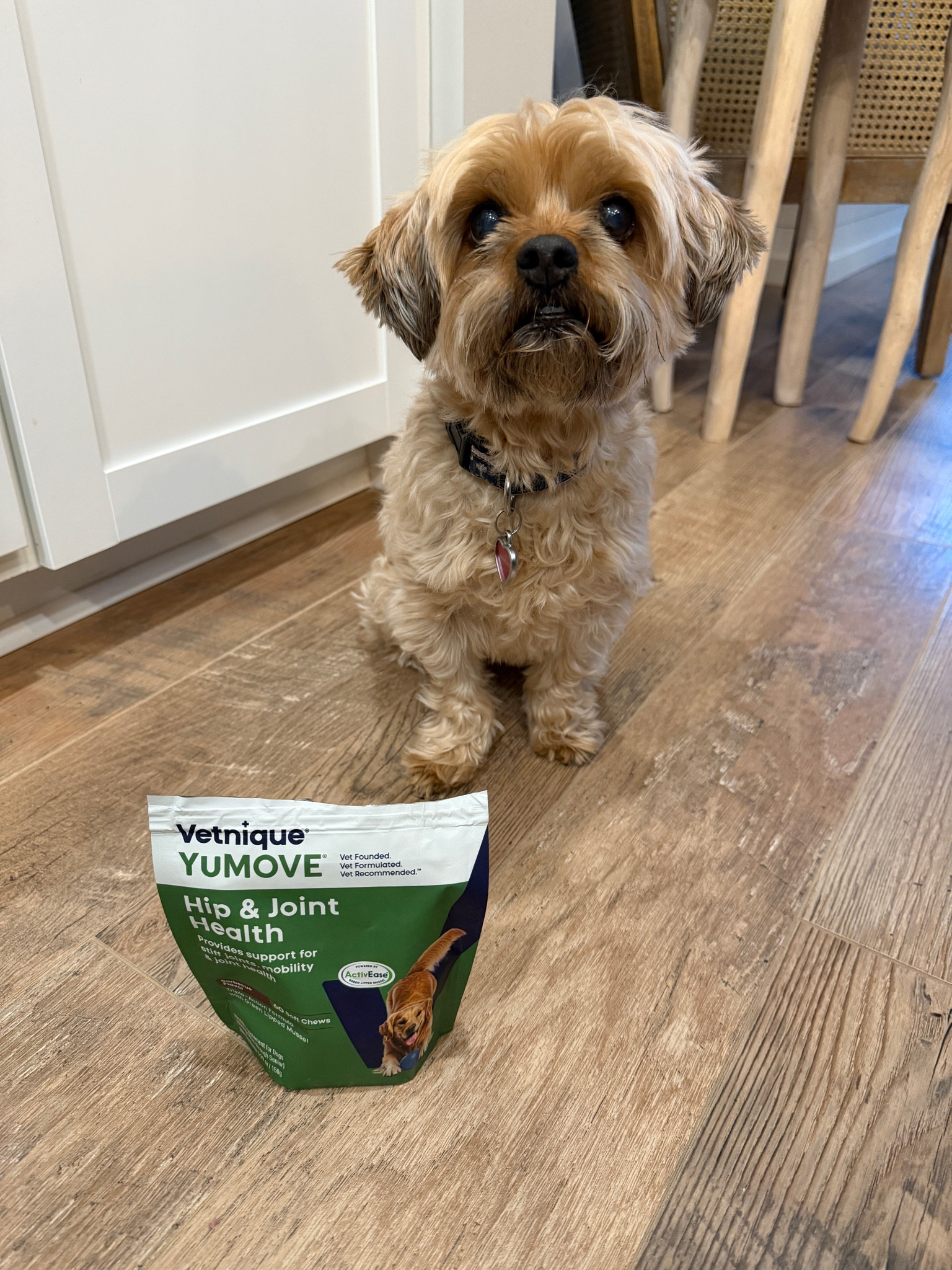 Millie loves the flavor of these and I love that they help support her hip and joint mobility.

#LTKmomlife #LTKdayinmylife #LTKActive