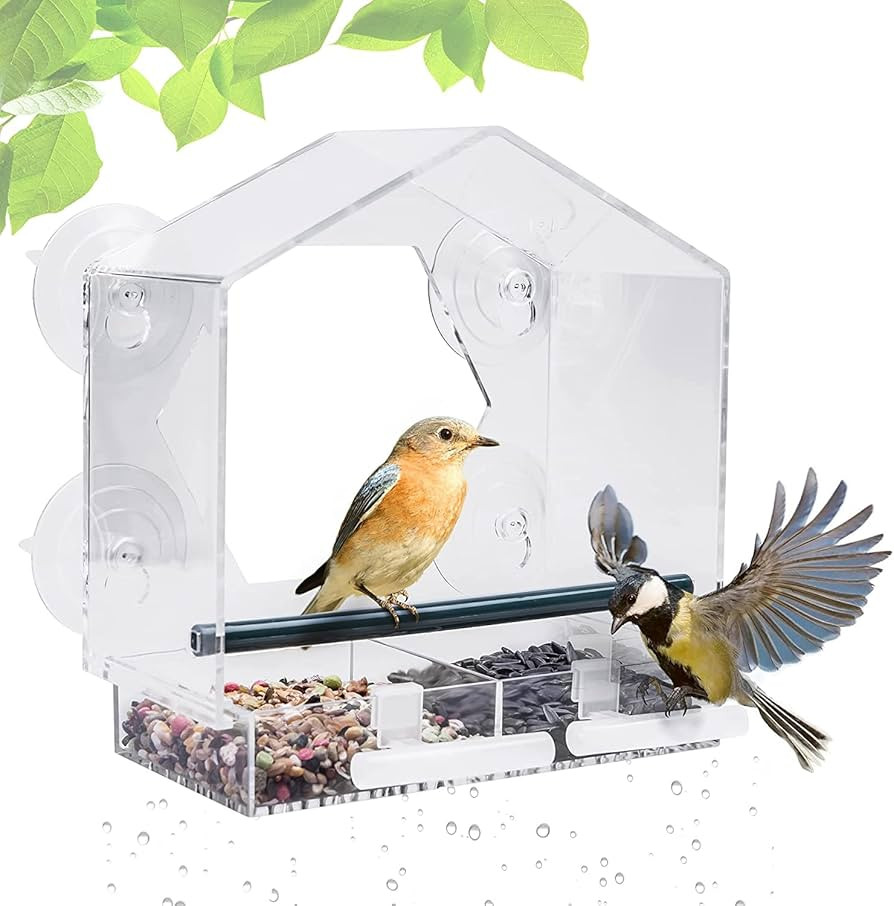 Fubullish Window Bird Feeder, Large Bird House Feeders for Outside with 4 Strong Suction Cups & 2... | Amazon (US)