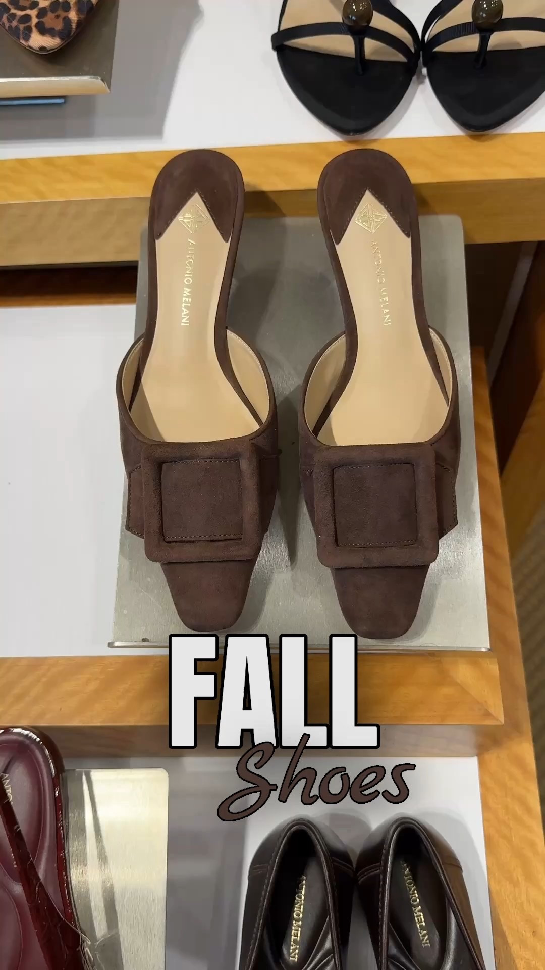 Fall Shoes You Need in Wardrobe 

Fall Outfit, Fall Fashion, Shoes, 

#LTKSeasonal 

#LTKShoeCrush #LTKOver40 #LTKTall