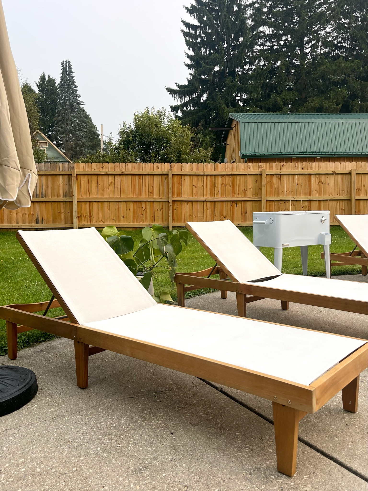 Pool Loungers and Standing Beverage Cooler 

#LTKhome #LTKfamily #LTKFind