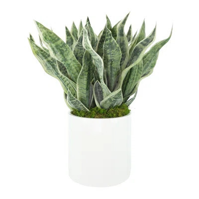 Faux Snake Plant in Fiberstone Planter | Wayfair North America