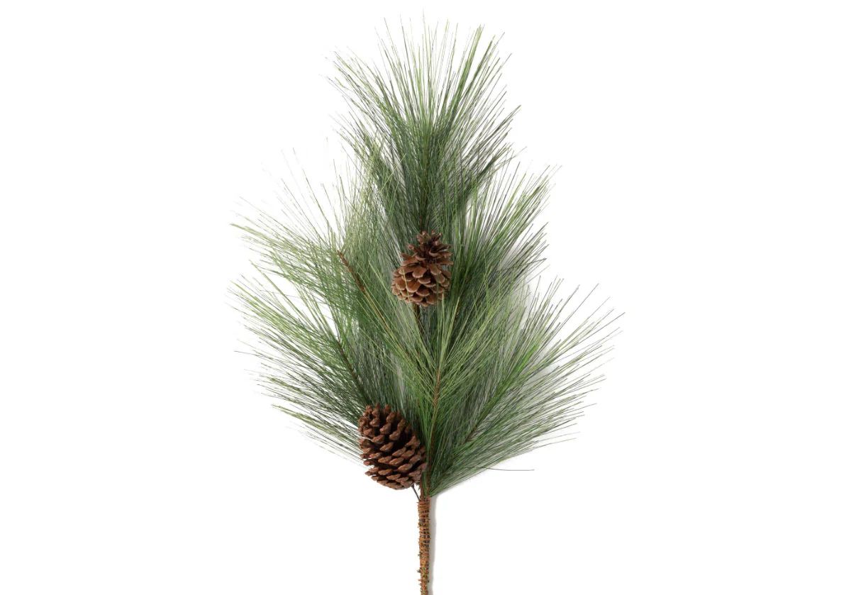 LONG PINE AND PINECONE BRANCH | Alice Lane Home Collection