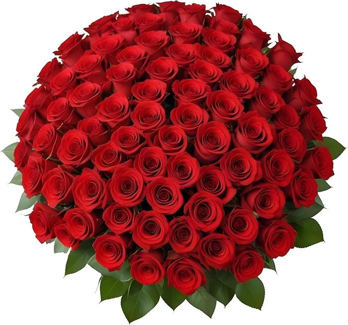 100 Red Roses | Bulk Roses by Arabella Bouquets | Real Fresh Flowers for Delivery, Gift for Birth... | Amazon (US)