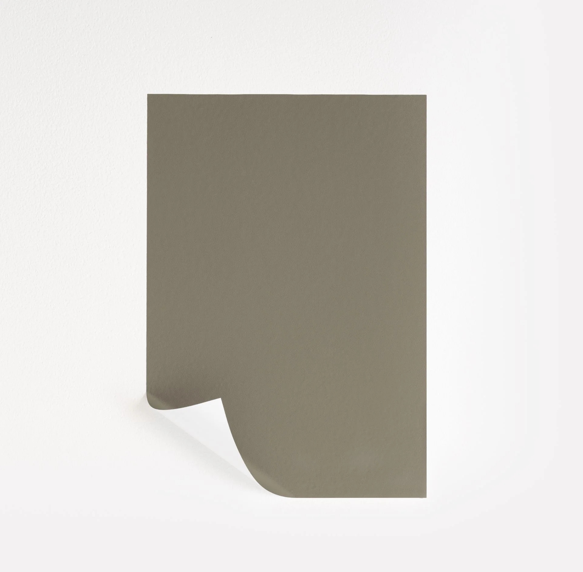 Briarwood  Paint Sample | Samplize