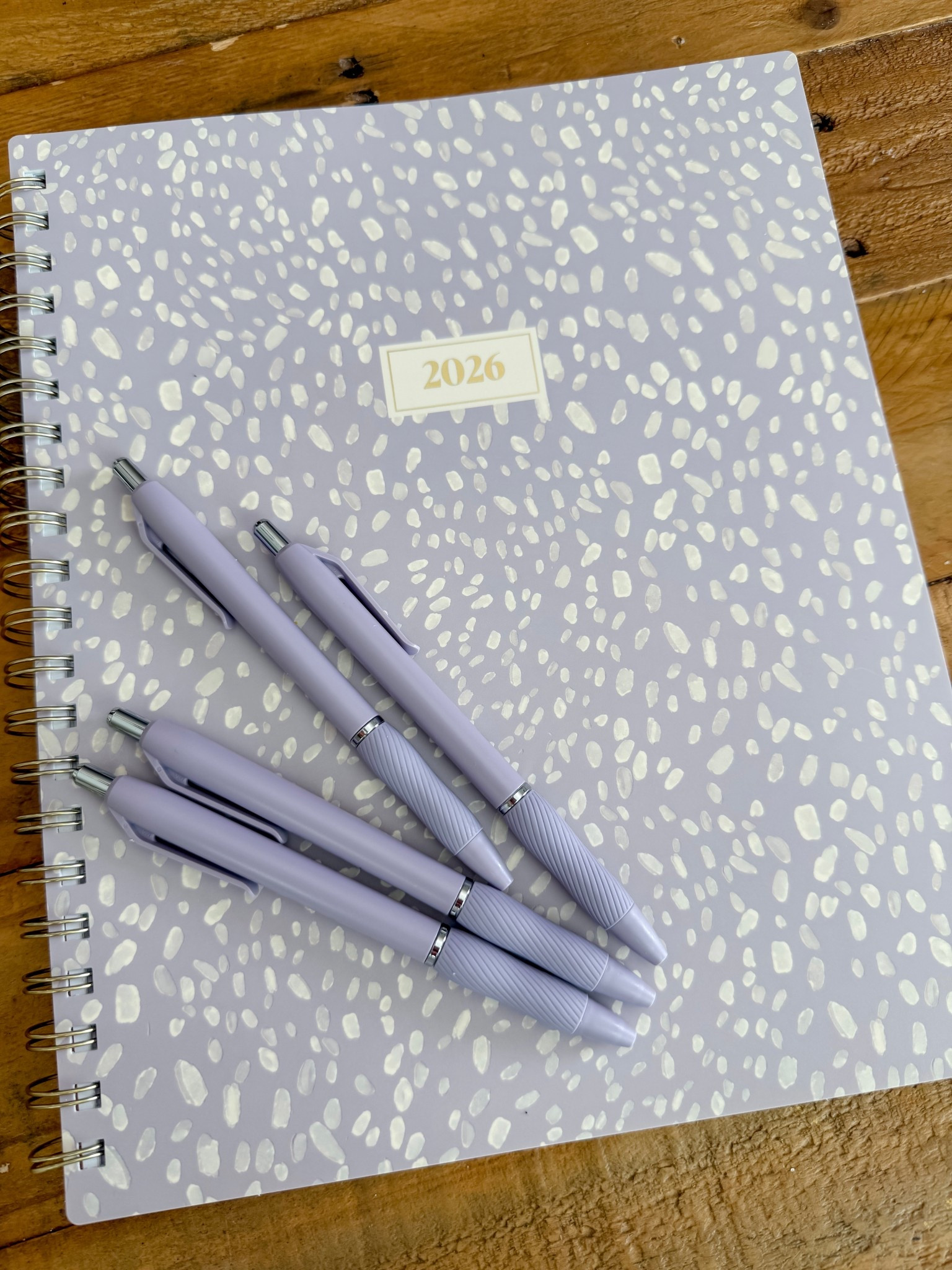 If it matches I’m more likely to use it! Working on planning out my 2026 and staying organized! #planner #goals #2026

#LTKBump #LTKActive #LTKGiftGuide
