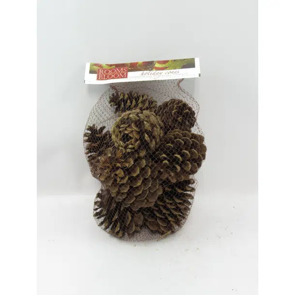 Cinnamon Scented Pine Cone (Set of 12) | Wayfair North America