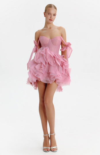 Corset Mini Evening & Special Occasion Dress with Floral Appliques | Nordstrom