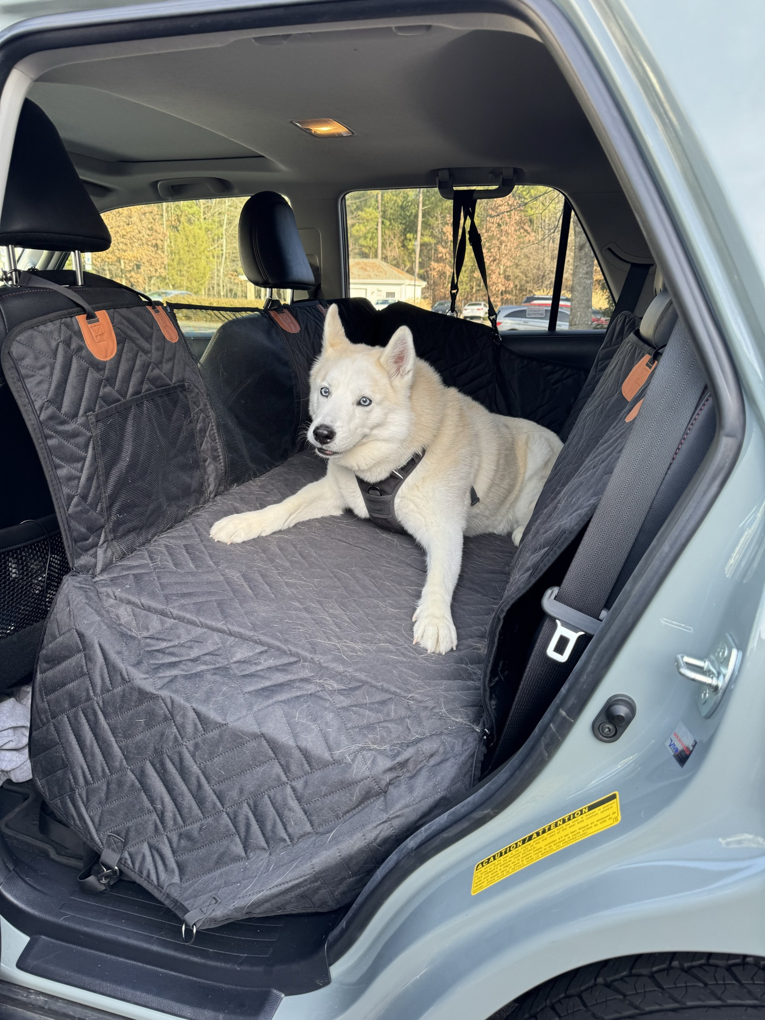 Dog travel Carrier for Car! Love it ; so sturdy!!


#dogaccessories #dog #carcarrier #pets 