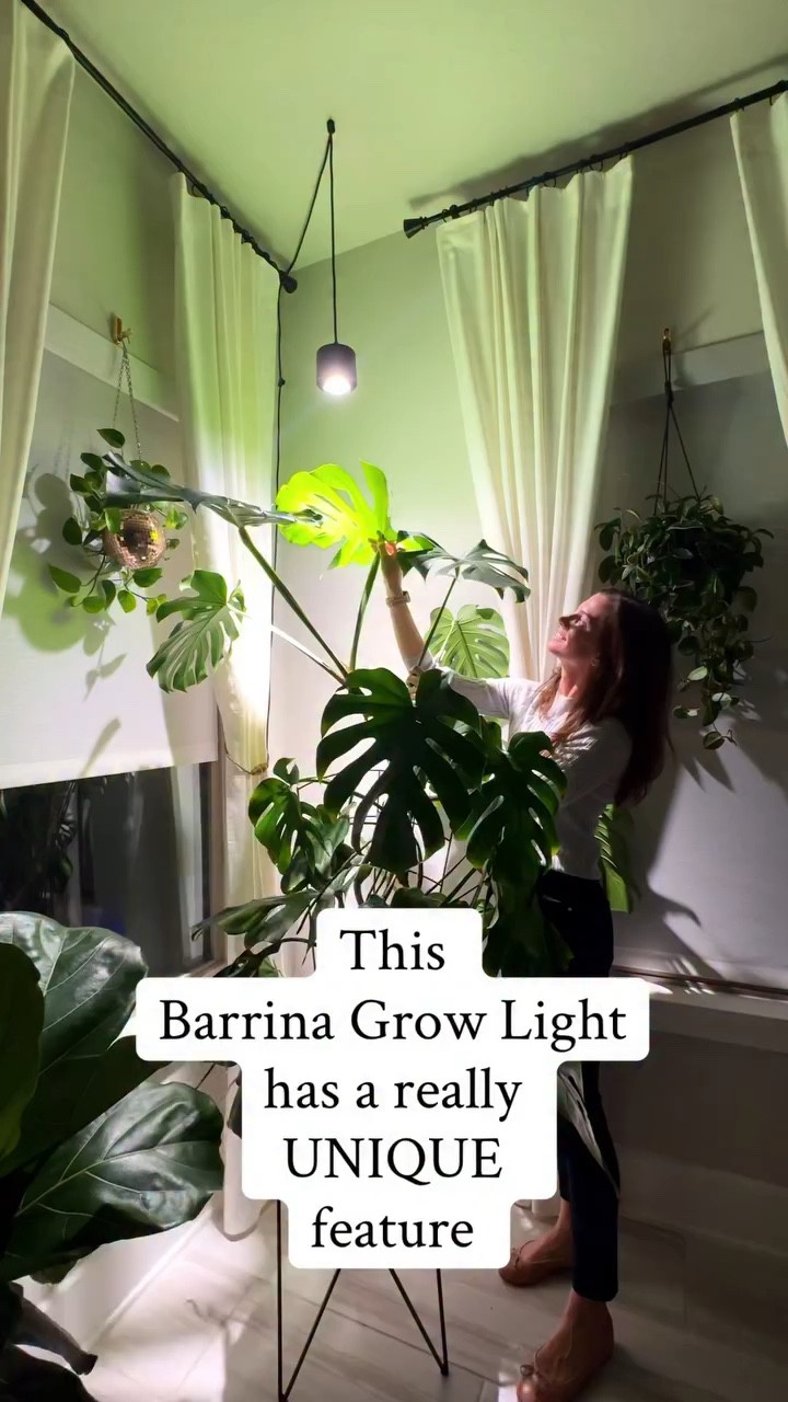  Use code JACQUELYNGROWS20 for 20% off ✨
(valid on Barrina’s OG-09 Series, Terra Series, and TR Series grow lights)

This @barrina_us TR40 Spotlight grow light has some features I’m genuinely impressed with. The 15–60° illumination range gives bigger plants the coverage they actually need, and the light it puts out is soft and glare-free.


#houseplants #growlight #plantcare #indoorplants #plantlover #urbanjungle #growwithsansi #plantsetup #planttips #barrina #barrinagrowlight 

TR40 spotlight | adjustable grow light | wide beam grow light | plant lighting | sansi grow light

#LTKOver40 #LTKHome #LTKmomlife