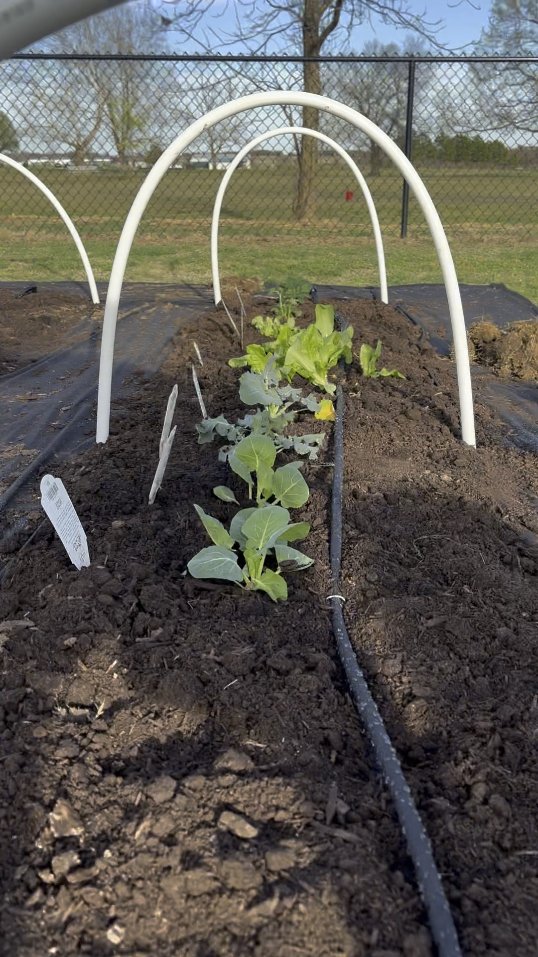 Garden soaker system! Super easy to install!

#LTKfindsunder50 #LTKhome #LTKSeasonal