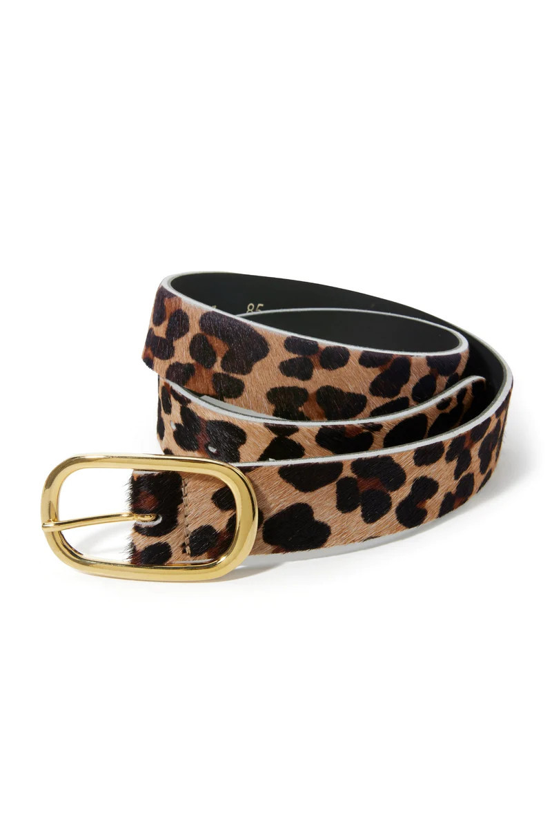 Animal Modern Classic Belt Multi | Boston Proper