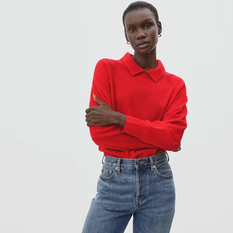 The Cashmere Collared Sweater | Everlane