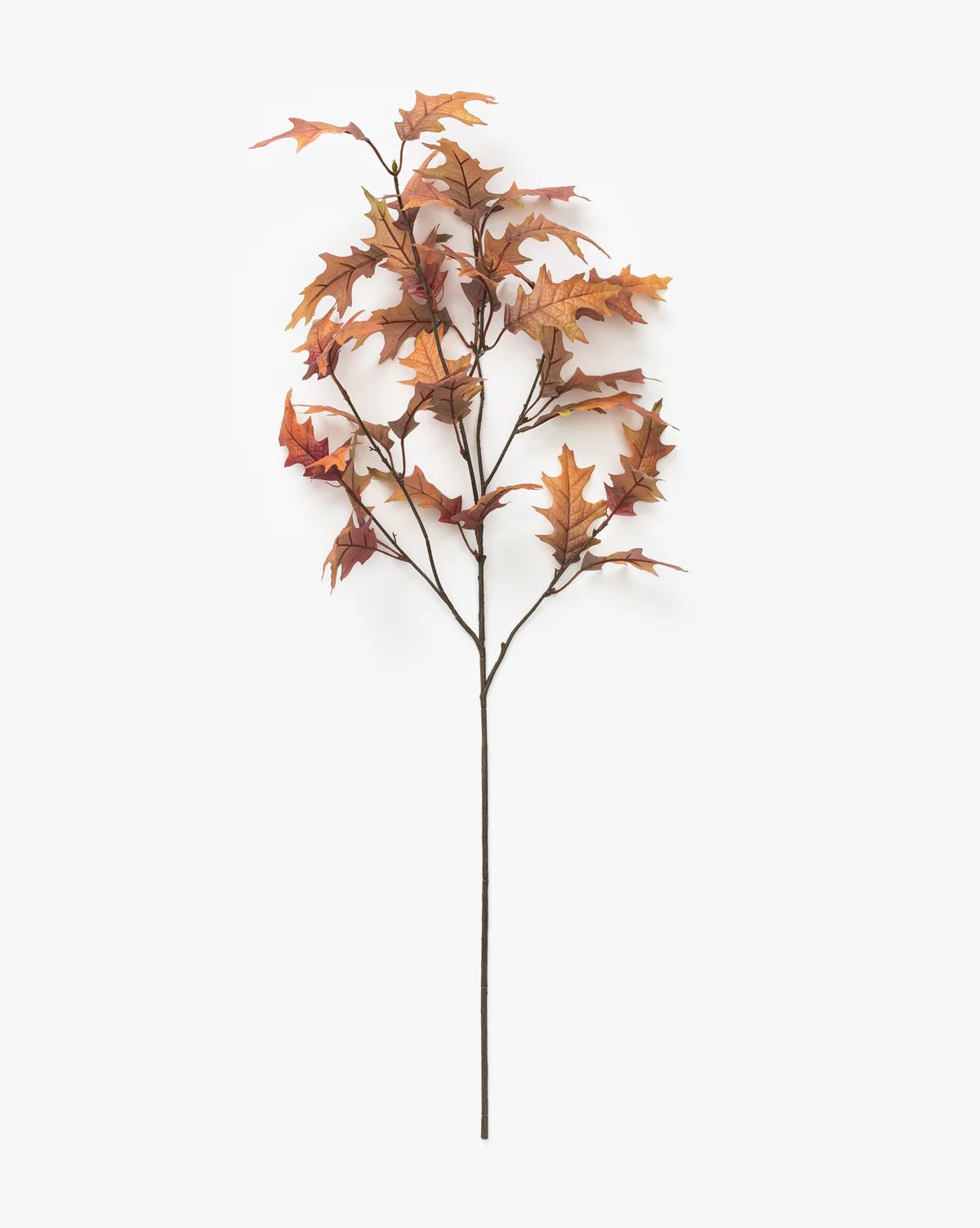 Faux Autumn Oak Stem | McGee & Co. (US)