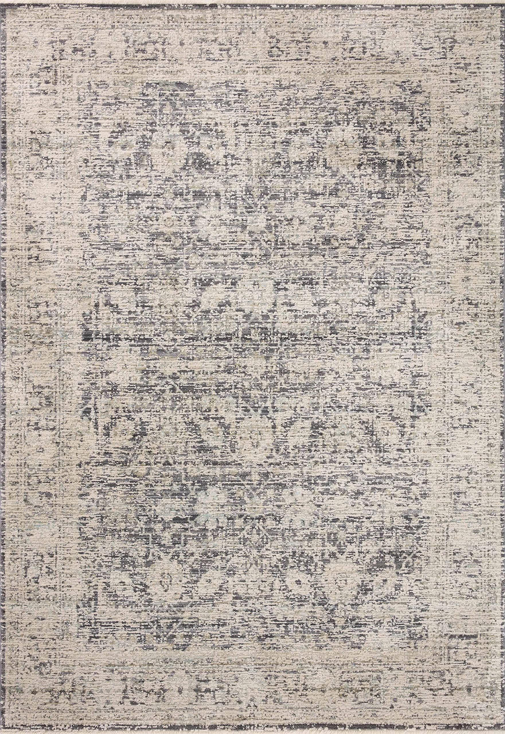 Loloi Amber Lewis Alie Collection ALE-05 Charcoal/Beige 11'-6'' x 15'-7'', 0.13'' Thick Area Rug | Amazon (US)