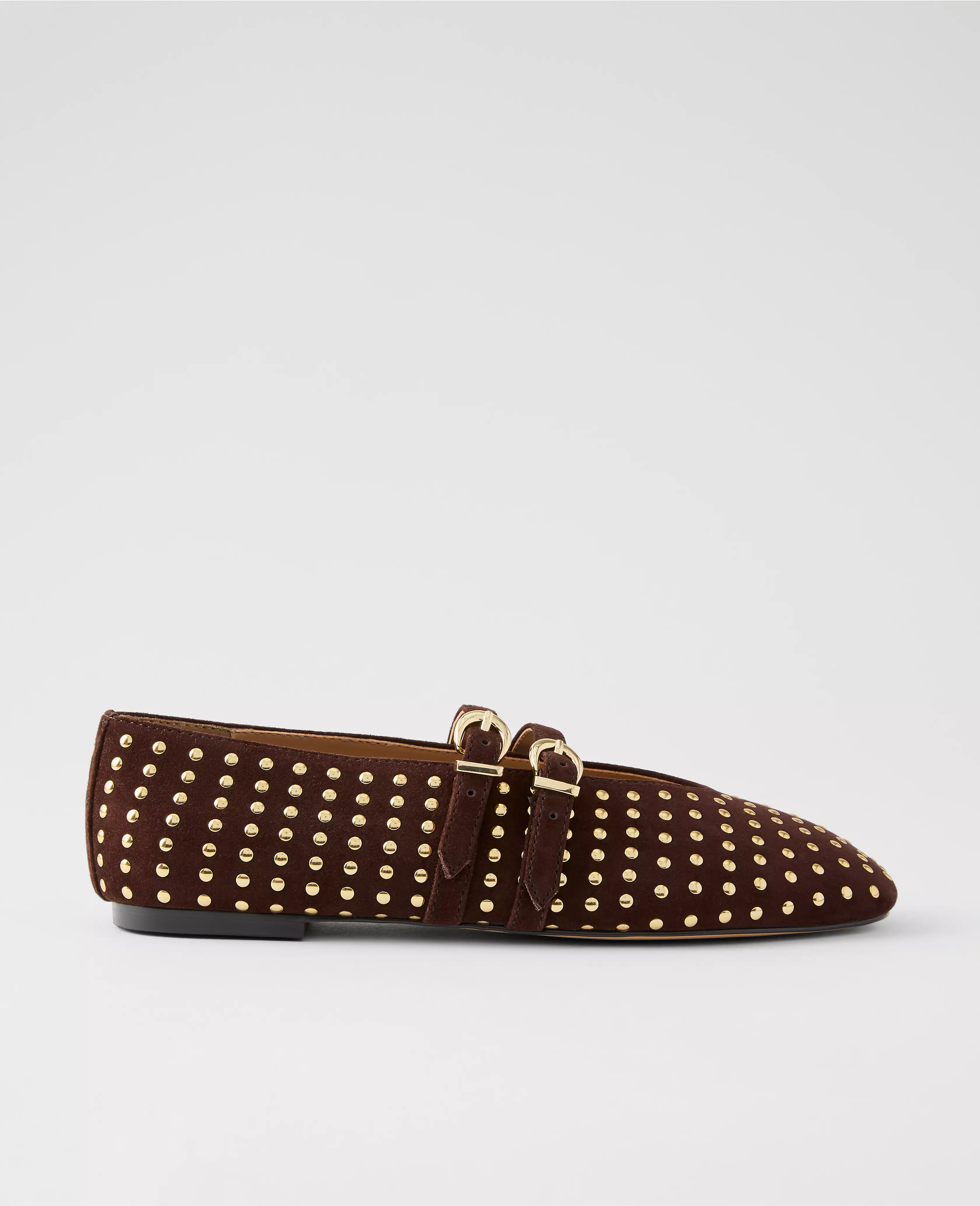 Buckled Suede Studded Ballet Flat | Ann Taylor