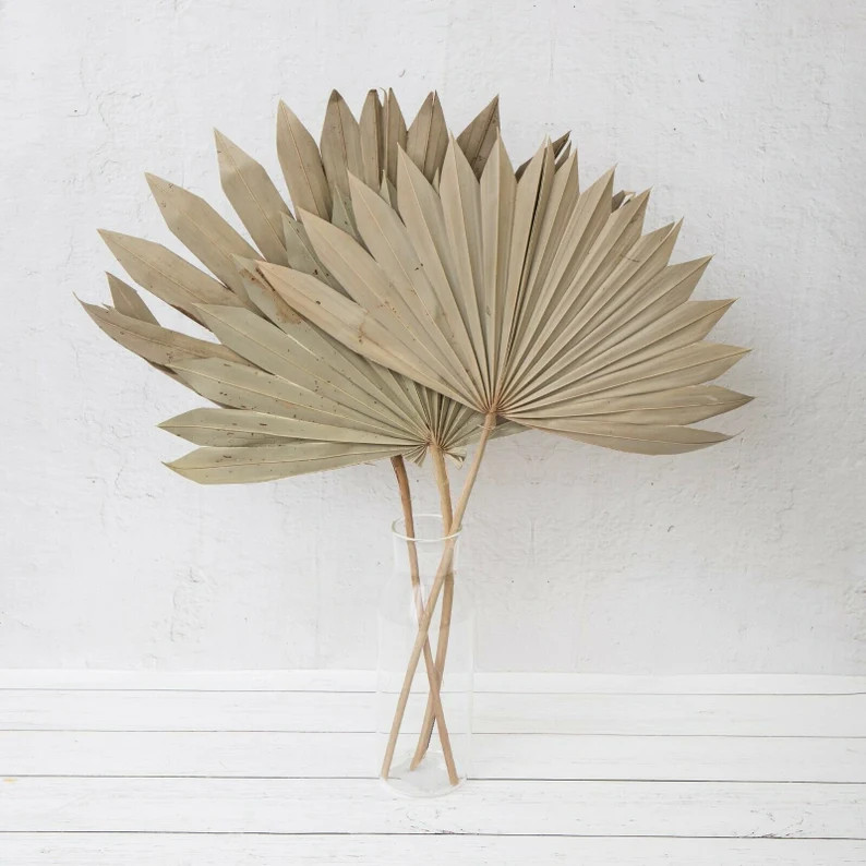 Bunch 3 Natural Dried Sun Palm Leaves Spears Large Boho Large - Etsy.de | Etsy (DACH)