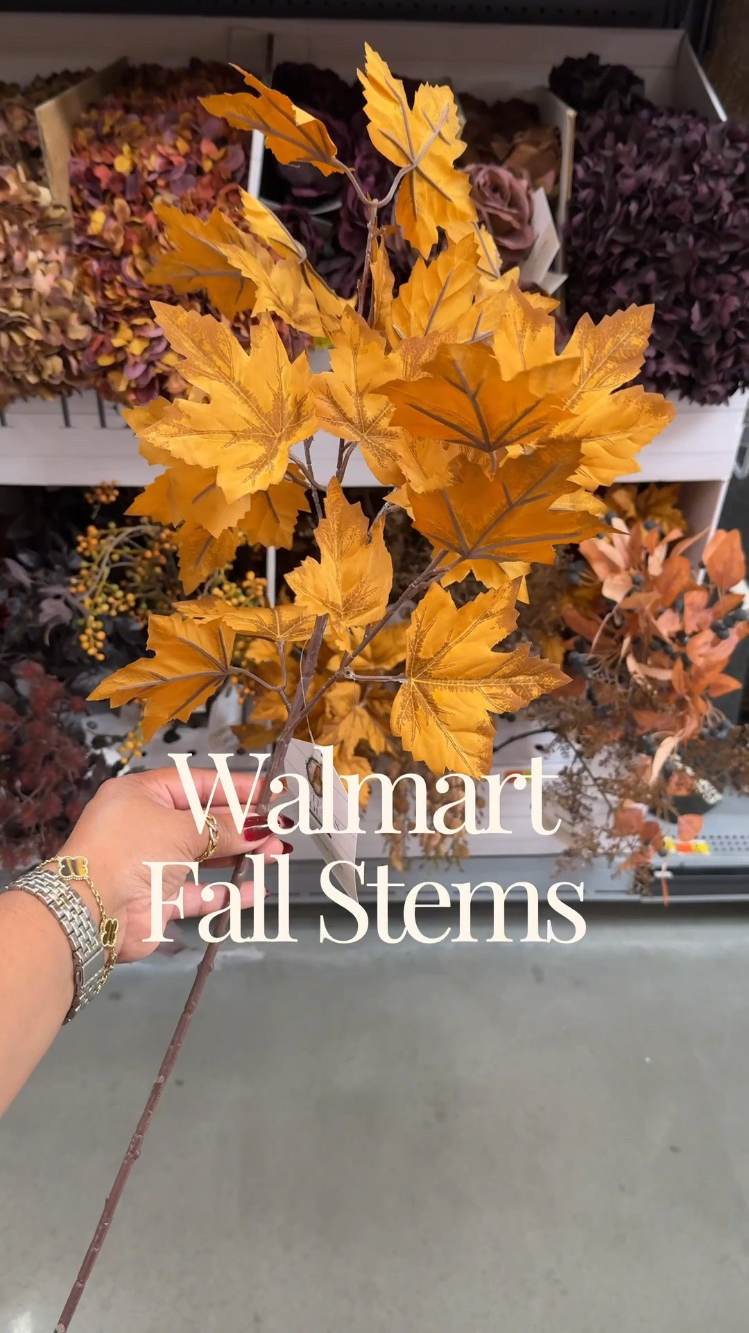 New @Walmart my Texas house fall floral stems

#LTKSeasonal #LTKHome #LTKvlog