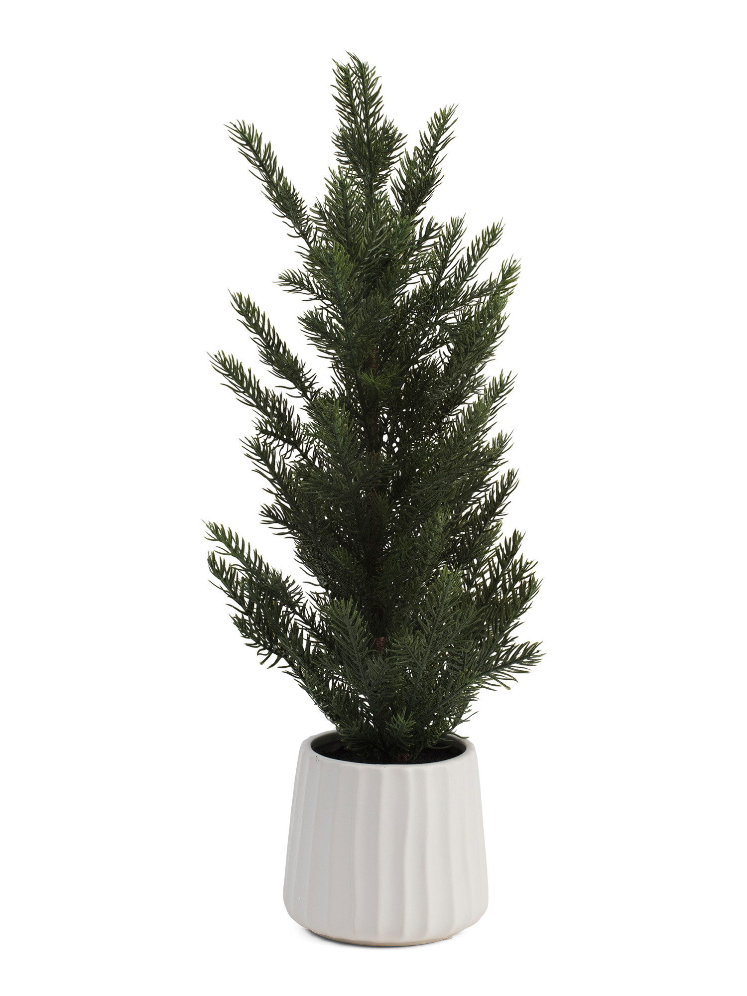 2ft Tree In Taper Line Pot | Plants & Planters | Marshalls | Marshalls