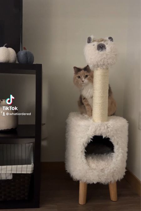 llama cat tree from chewy 

#LTKSeasonal #LTKhome #LTKHoliday