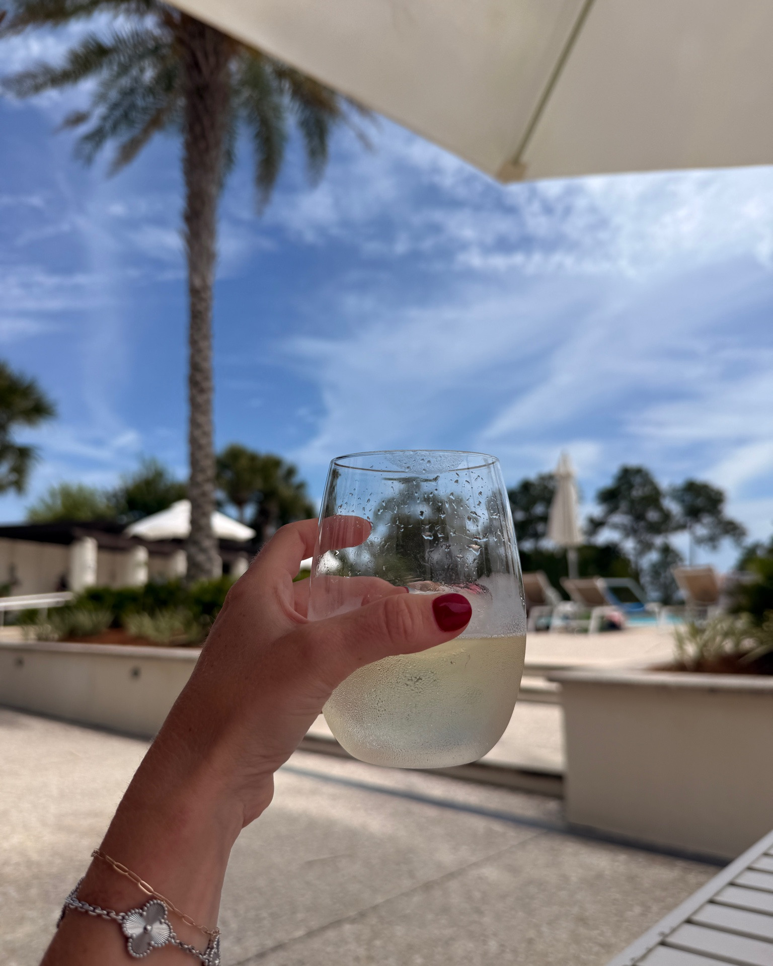 Amazon plastic wine glasses - love these because they look just like glass + they have an indentation for your thumb which makes them so easy to hold!

#LTKTravel #LTKSwim