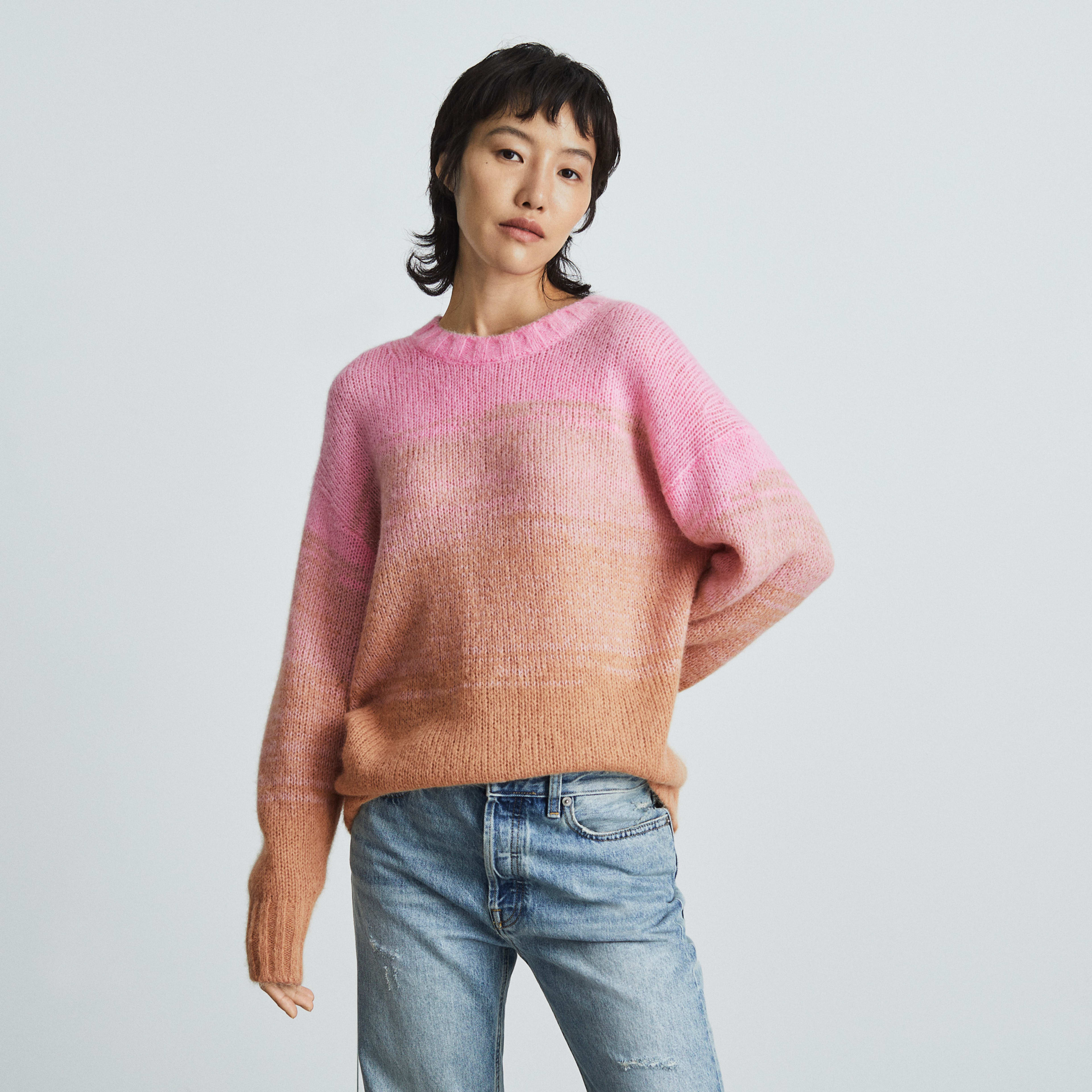 The Gradient Alpaca Crew | Everlane