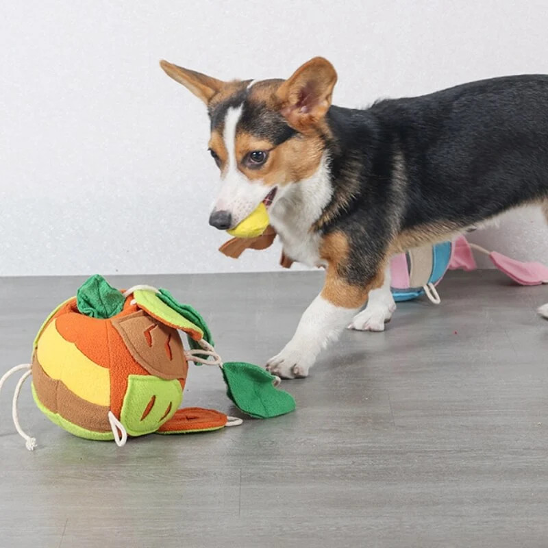 Interactive Puzzle Squeaky Toy Leaf Ball Dog Treat Dispenser Toy | FunnyFuzzy Affiliate Program