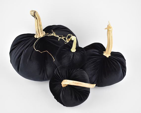 Velvet Pumpkin in Black with a Real Stem | Etsy (US)
