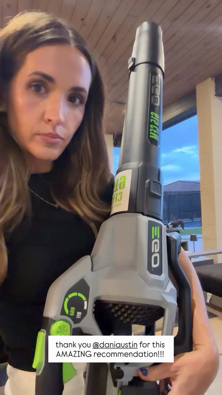 My new favorite purchase - this leaf blower.