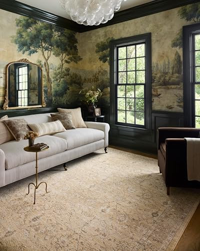 Loloi Chris Loves Julia Palma Collection PLM-10 Wheat/Bark 7'-10" x 10' Fringe Area Rug Vintage S... | Amazon (US)