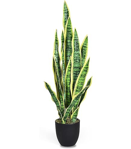3 Pack Faux Snake Plants 31in Artificial UV Resistant Snake Outdoors Fake Sansevieria Plastic Pla... | Amazon (US)