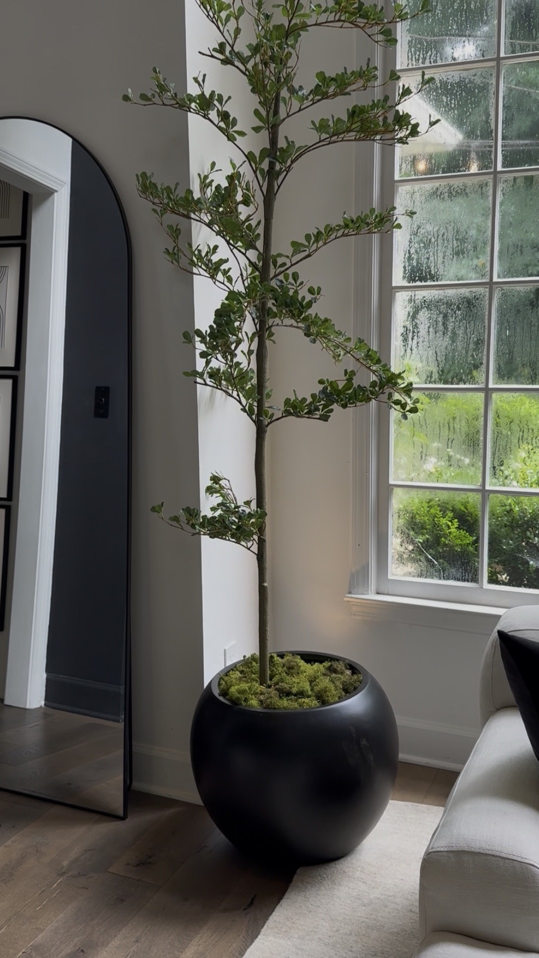 This Amazon find is too good not to share !!! I found this gorgeous faux tree on Amazon, and while it was beautiful during the day, the moment I tucked an uplight into the planter, everything changed!! 

This is the kind of designer secret I never skip. It’s not about filling a home with more. It’s about creating moments that make you want to stay a little longer.

#LTKHome #LTKSeasonal #LTKdayinmylife