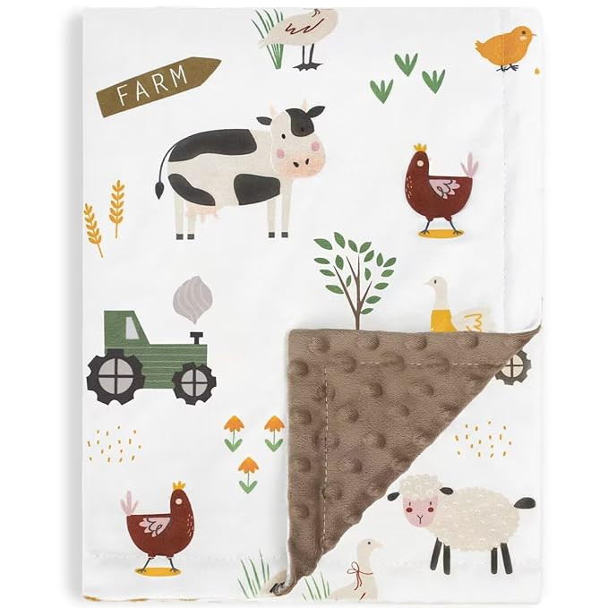 Baby Blanket for Boys Soft Lightweight Minky Blanket with Double Layer Dotted Backing for Infant ... | Amazon (US)