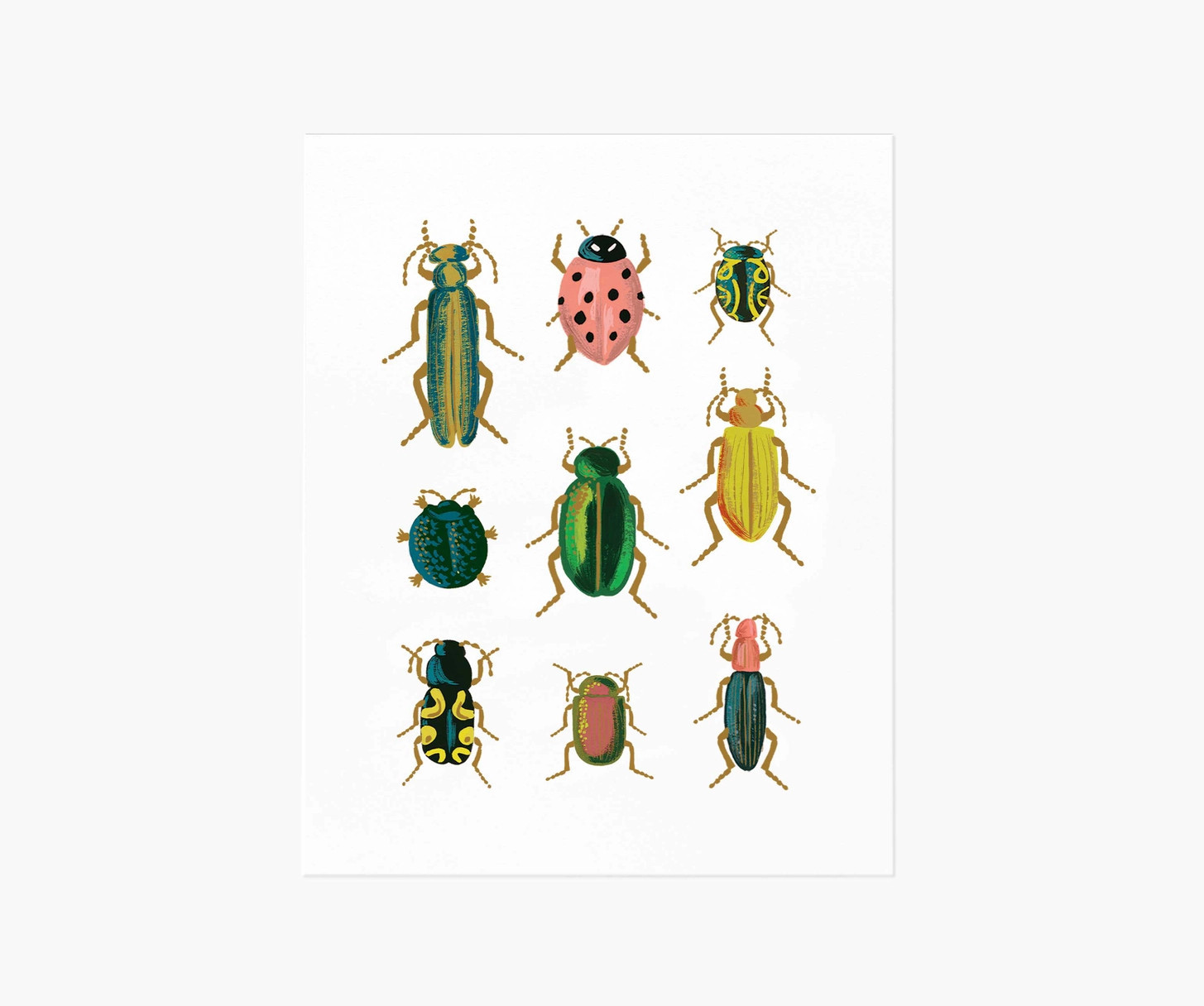 Curio Art Print | Rifle Paper Co.