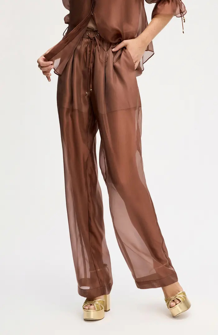 Sheer Drawstring Pants | Nordstrom