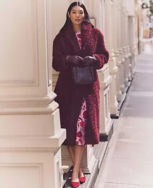 Shawl Collar Faux Fur Teddy Coat | Ann Taylor (US)