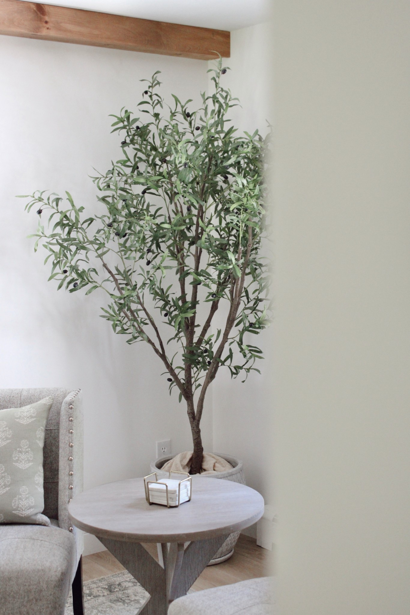 My absolute favorite olive tree 😍💛 

#LTKHome #LTKU #LTKSeasonal