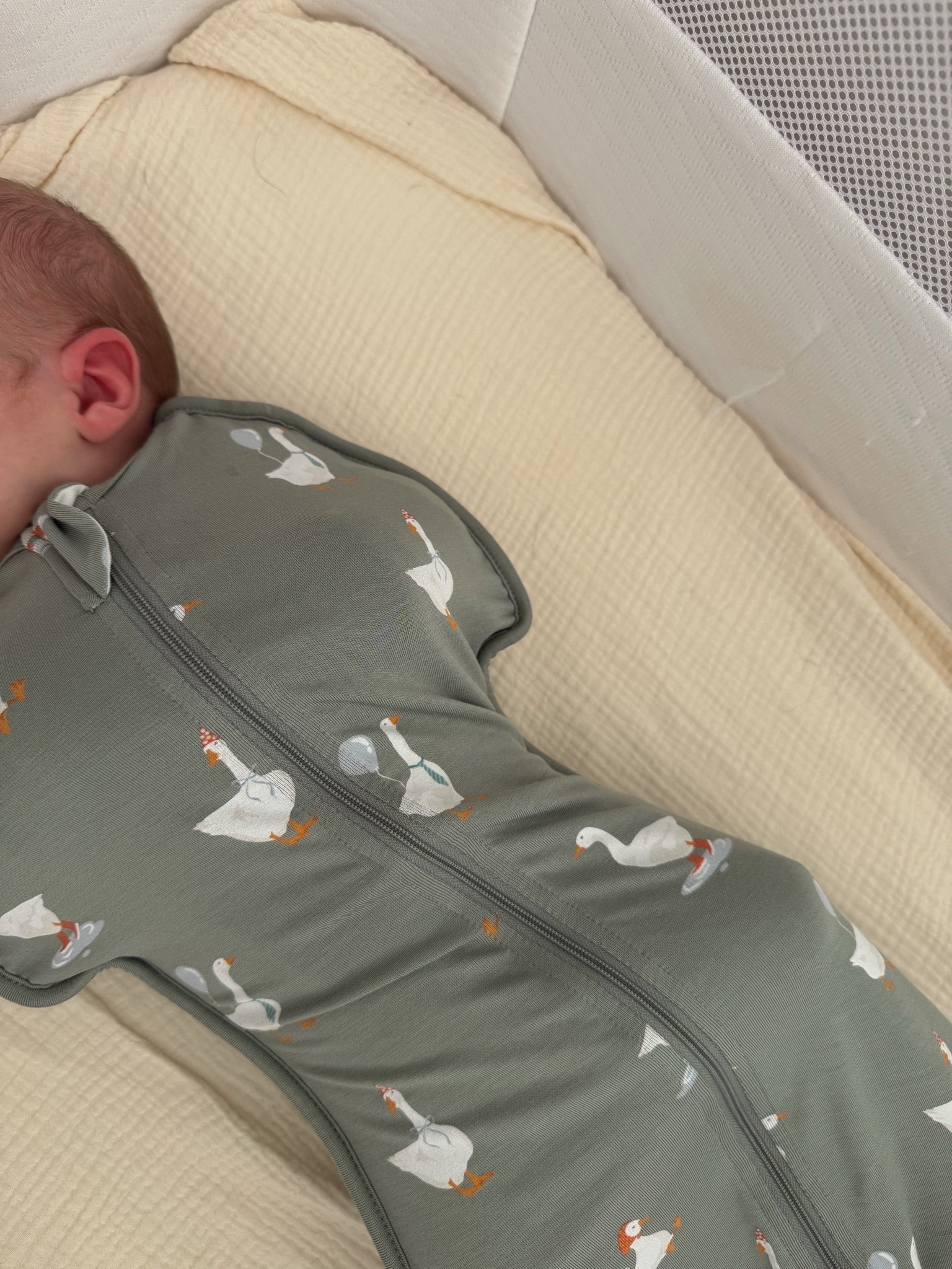 goose swaddle 🥲🫶🏼🪿

#LTKBaby #LTKmomlife
