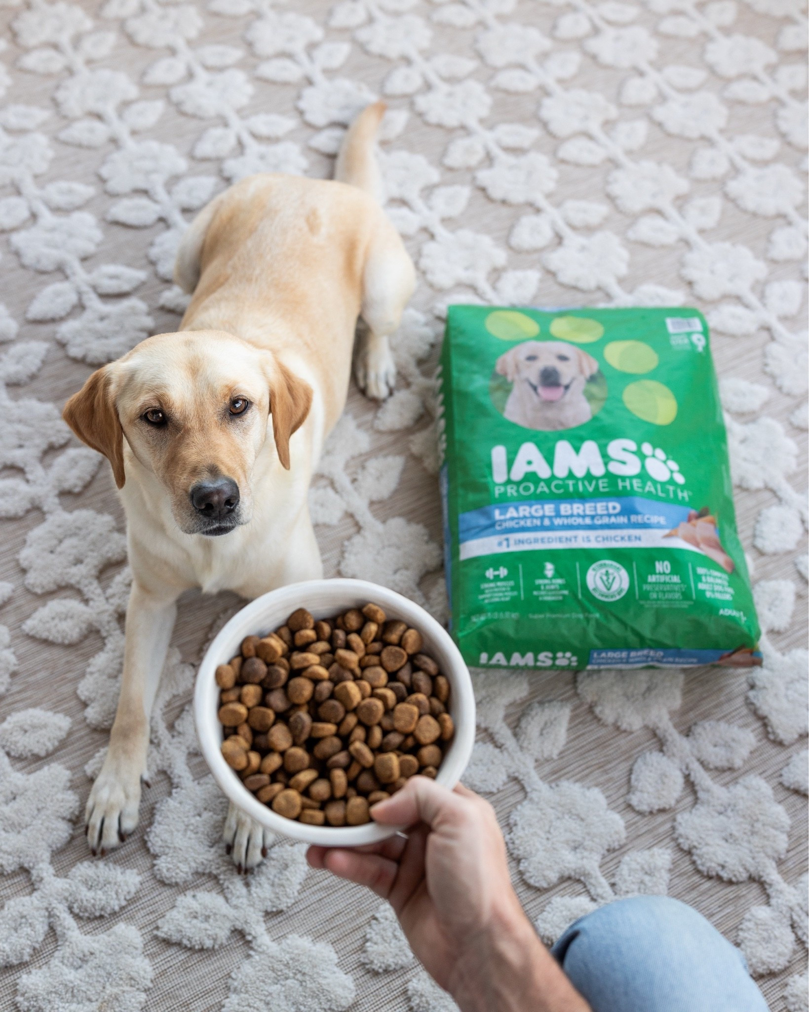 My dogs thrive on IAMS dog food! If you’re looking for a quality kibble at an affordable price, this is it!

#LTKHome